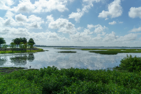 East Lake Toho | Kissimmee | Fishing